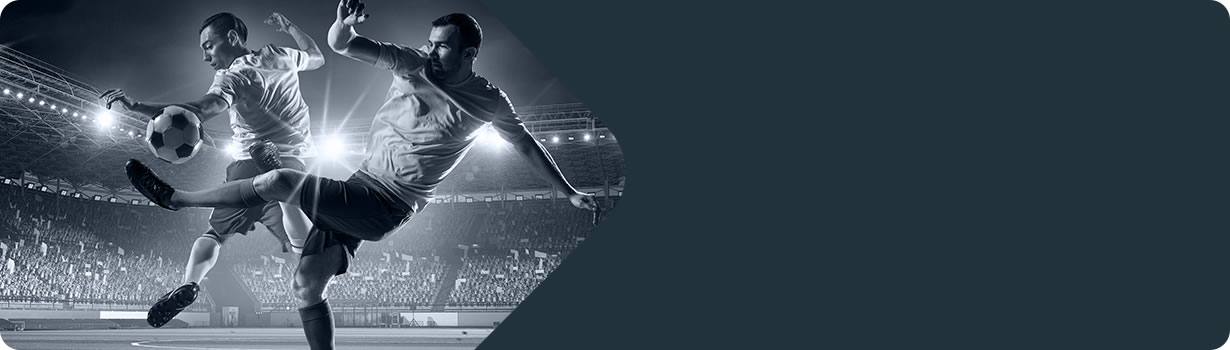 color sudoku board game
